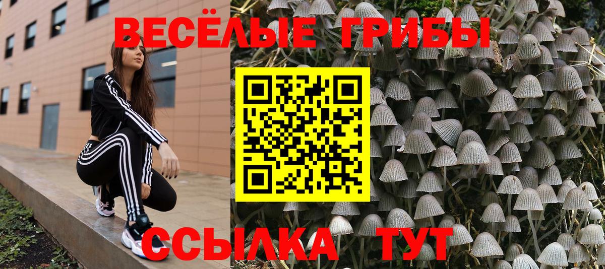 Псилоцибиновые грибы Psilocybine cubensis  Вход с VPN  Чехов  Псилоцибиновые грибы Psilocybe 