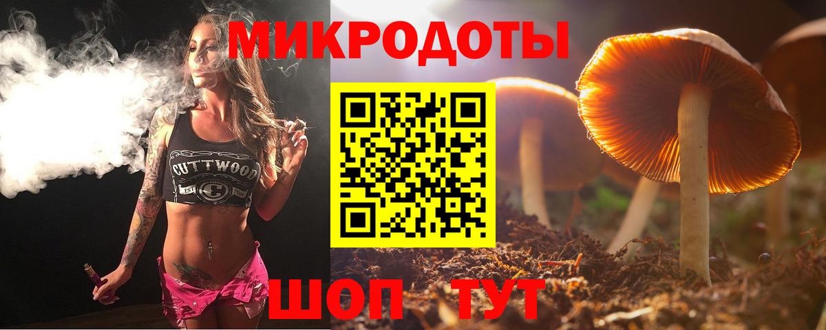Галлюциногенные грибы Psilocybine cubensis Чехов